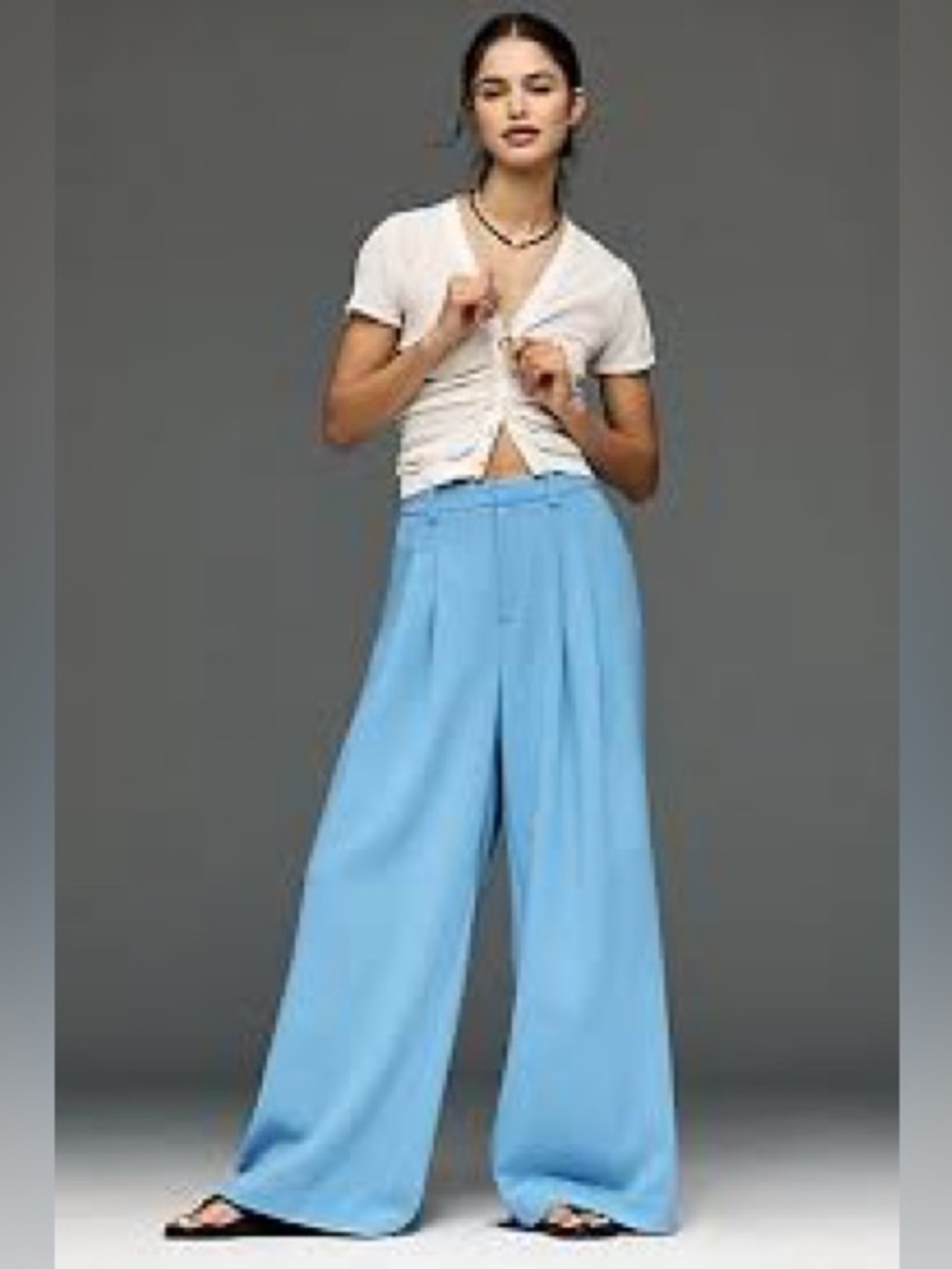 Anthropologie NWT Avery Wide-Leg Pleated Trousers by Maeve - M - Picture 8 of 16
